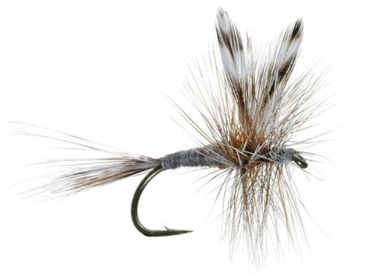 3 Pack Adams Classic Dry Fly - Hook Size 20