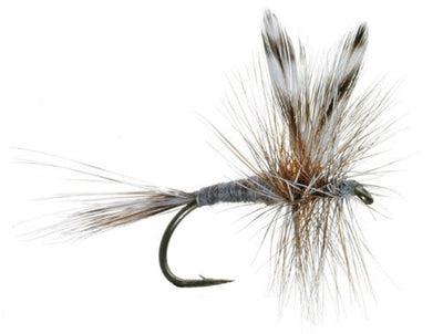 Adams Classic Dry Fly - 1 Dozen Flies Hook Size 10