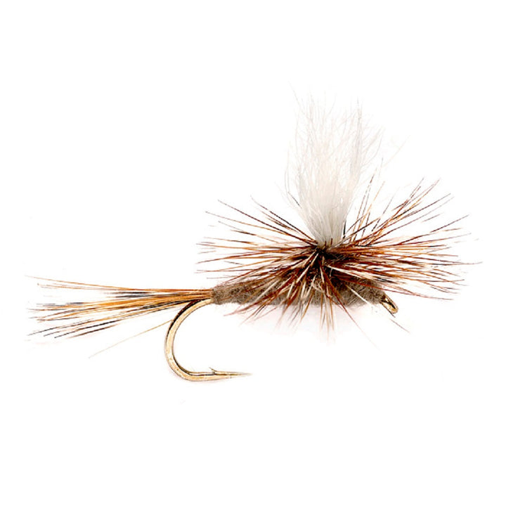 3 Pack Adams Parachute Classic Dry Fly - Hook Size 12