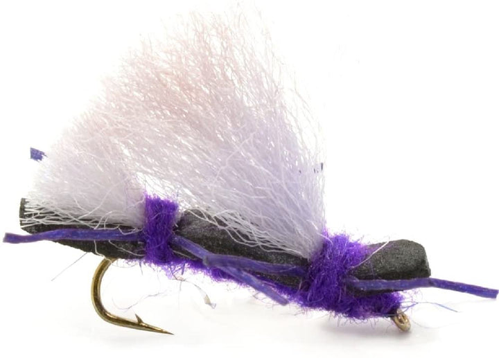 Basics Collection - Chernobyl Ant Foam Dry Fly Assortment - 10 Dry Fishing Grasshopper Flies - 5 Patterns - Hook Size 10