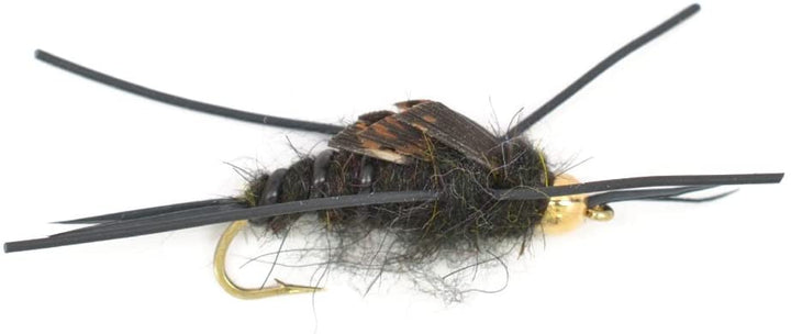 Basics Collection - Kaufmann's Tungsten Bead Stonefly Nymph Assortment - 10 Bead Head Rubber Legs Wet Flies - 5 Patterns - Hook Sizes 4, 6, 8, 10, and 12