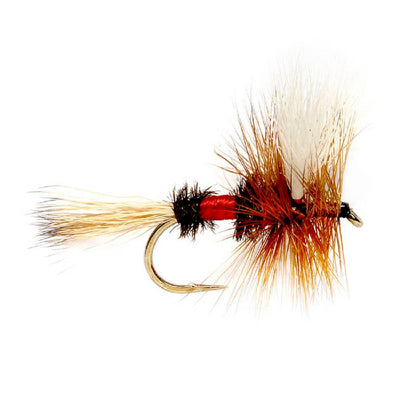 Royal Wulff Classic Trout Dry Fly Fishing Flies - Set of 6 Flies Size 12