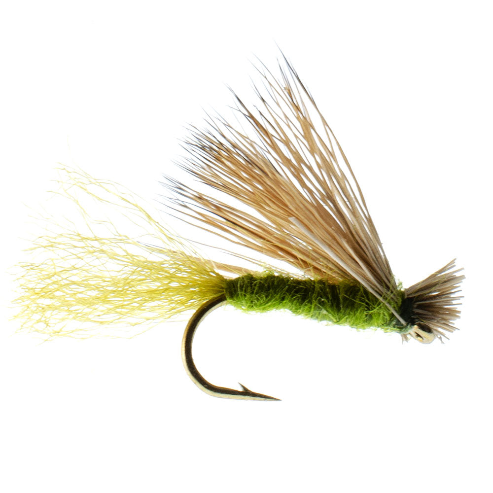 3 Pack Olive X Caddis Emerging Caddis Adult Trout Dry Fly - Hook Size 14