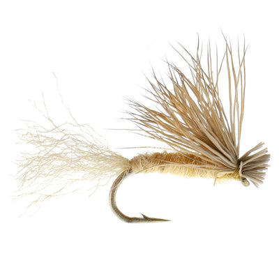 3 Pack Tan X Caddis Emerging Caddis Adult Trout Dry Fly - Hook Size 18