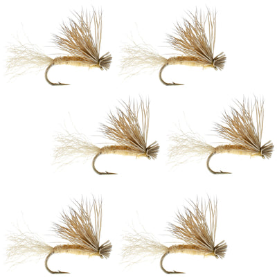 Tan X Caddis Emerging Caddis Adult Trout Dry Fly - 6 Flies Hook Size 14