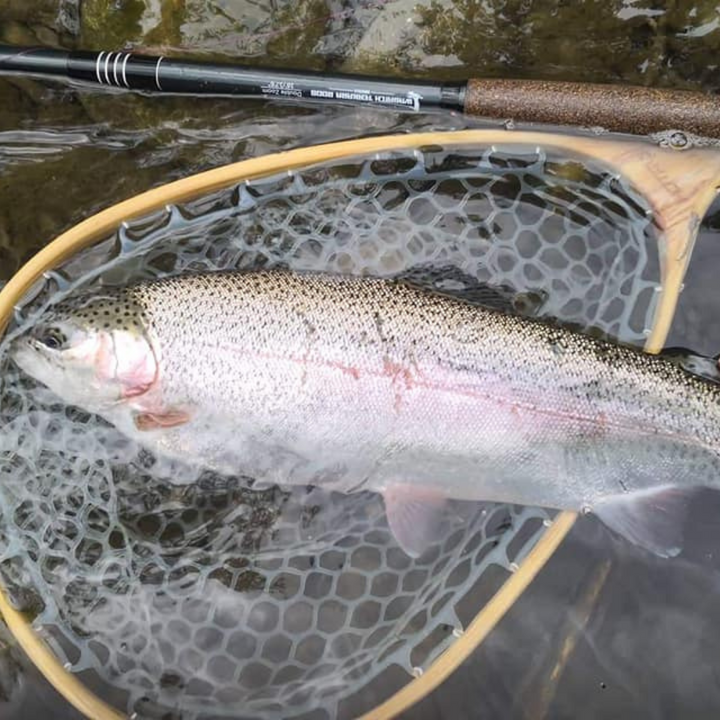 This is a Rainbow Trout a customer caught while fishing with the Wasatch Tenkara Rods, RodZilla!