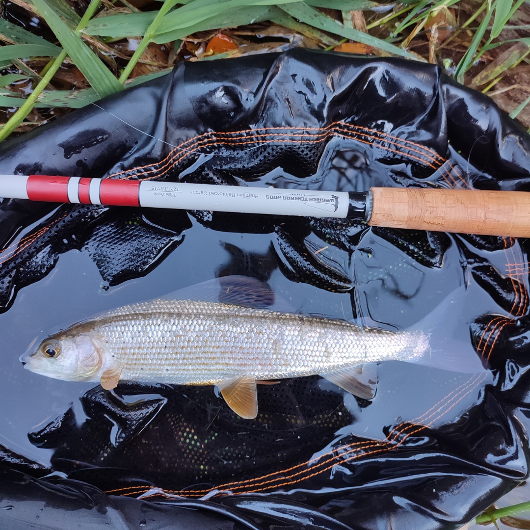 The T-Hunter is a strong and versitle triple zoom tenkara rod. In this photo a customer landed a beautiful Arctic Grayling in Utah. 